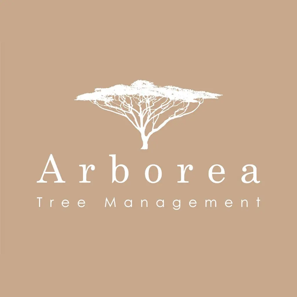 Arborea Tree Management
