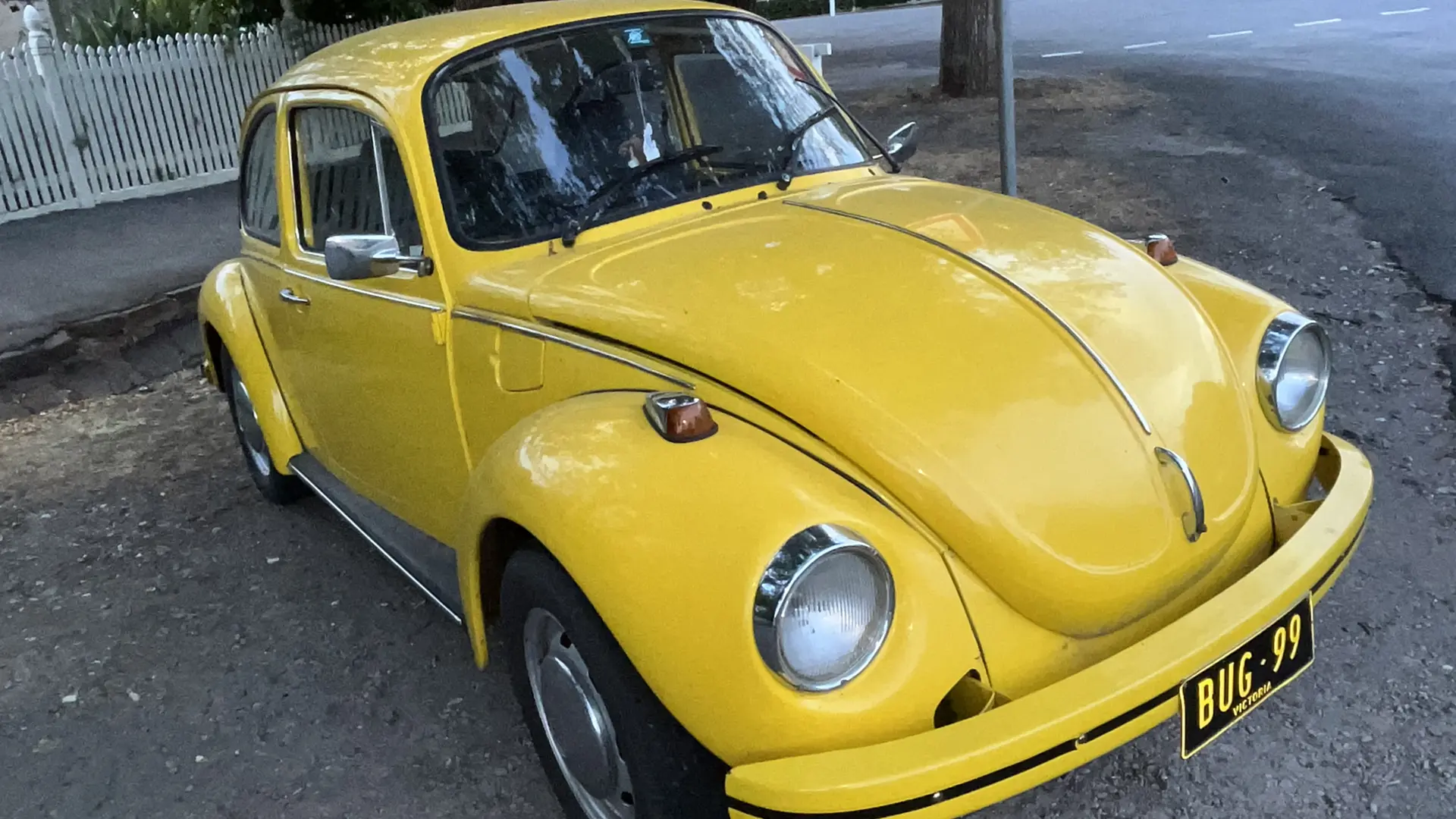 Bug 99.