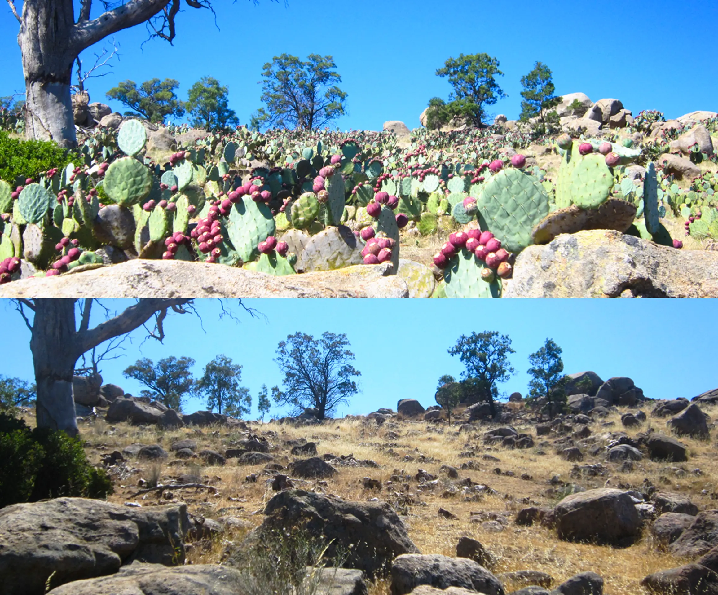 Check out the amazing before and after photo to see what’s possible!