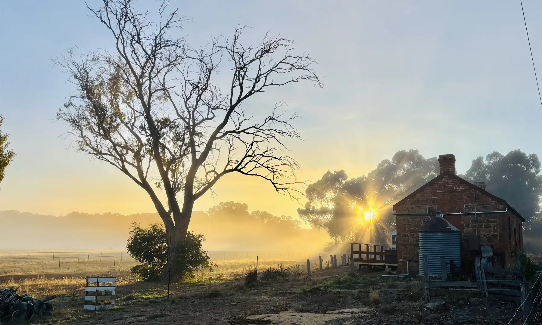 Misty morning