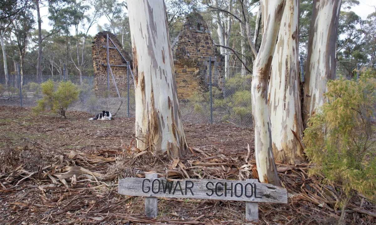 Gower School Ruins.