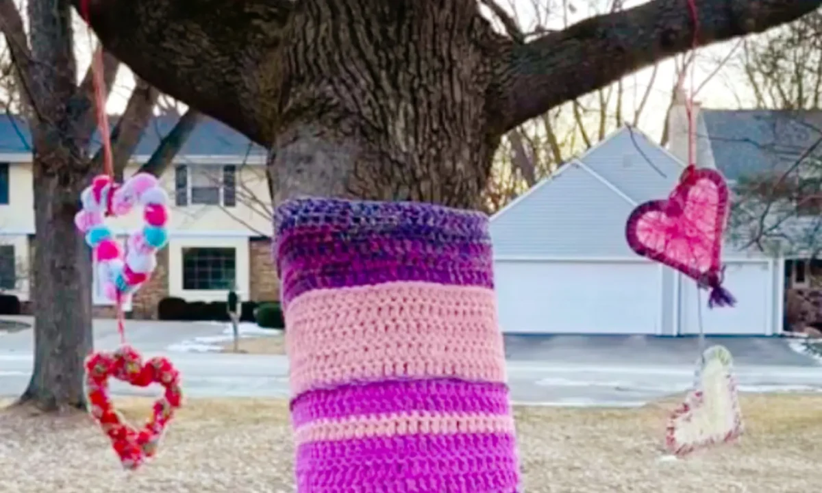 Dhelkaya Health wears it purple with craftivism