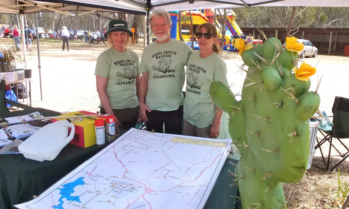 Volunteering for the environment – some do, some don’t