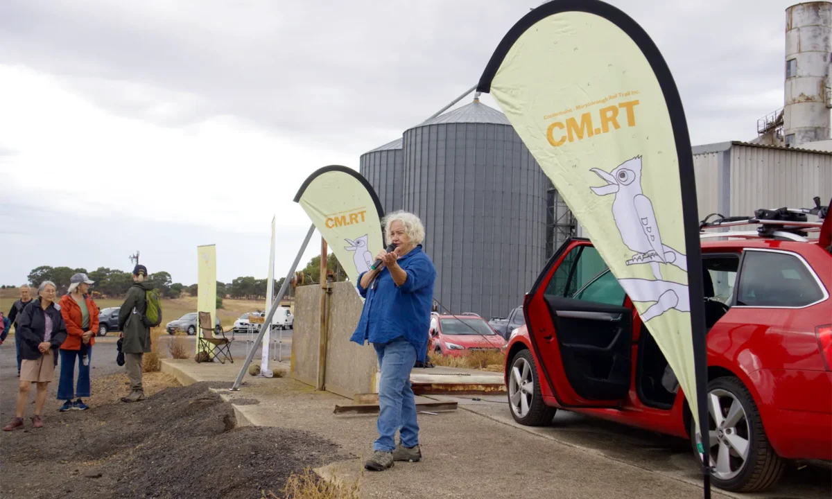 Dr Janice Simpson, President of Castlemaine–Maryborough Rail Trail Inc, addressing a group of walkers near the proposed trail site in March.