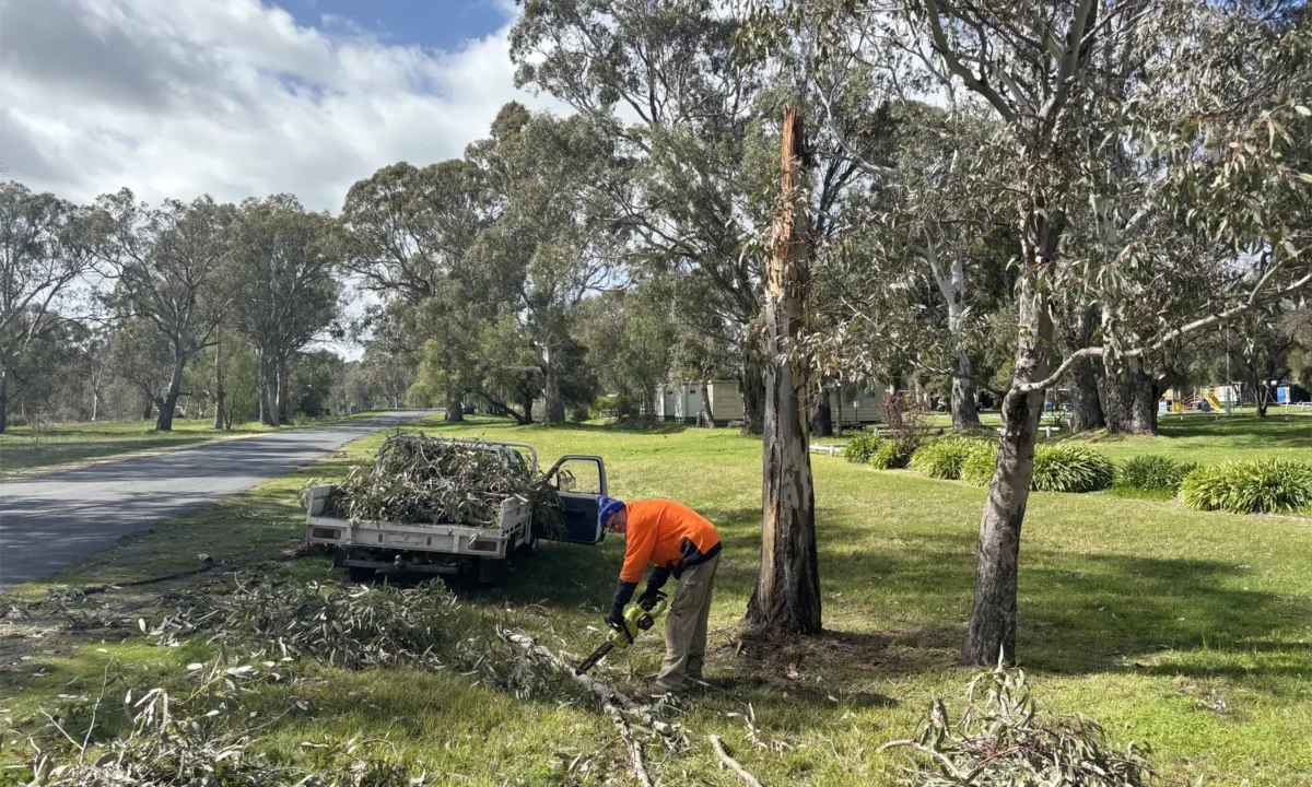 Wild weekend weather