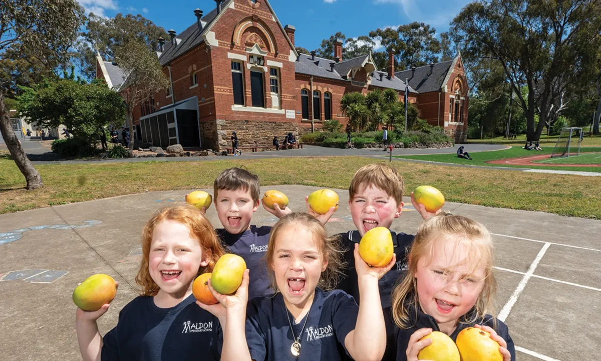 Bite size mangoes: school fundraiser