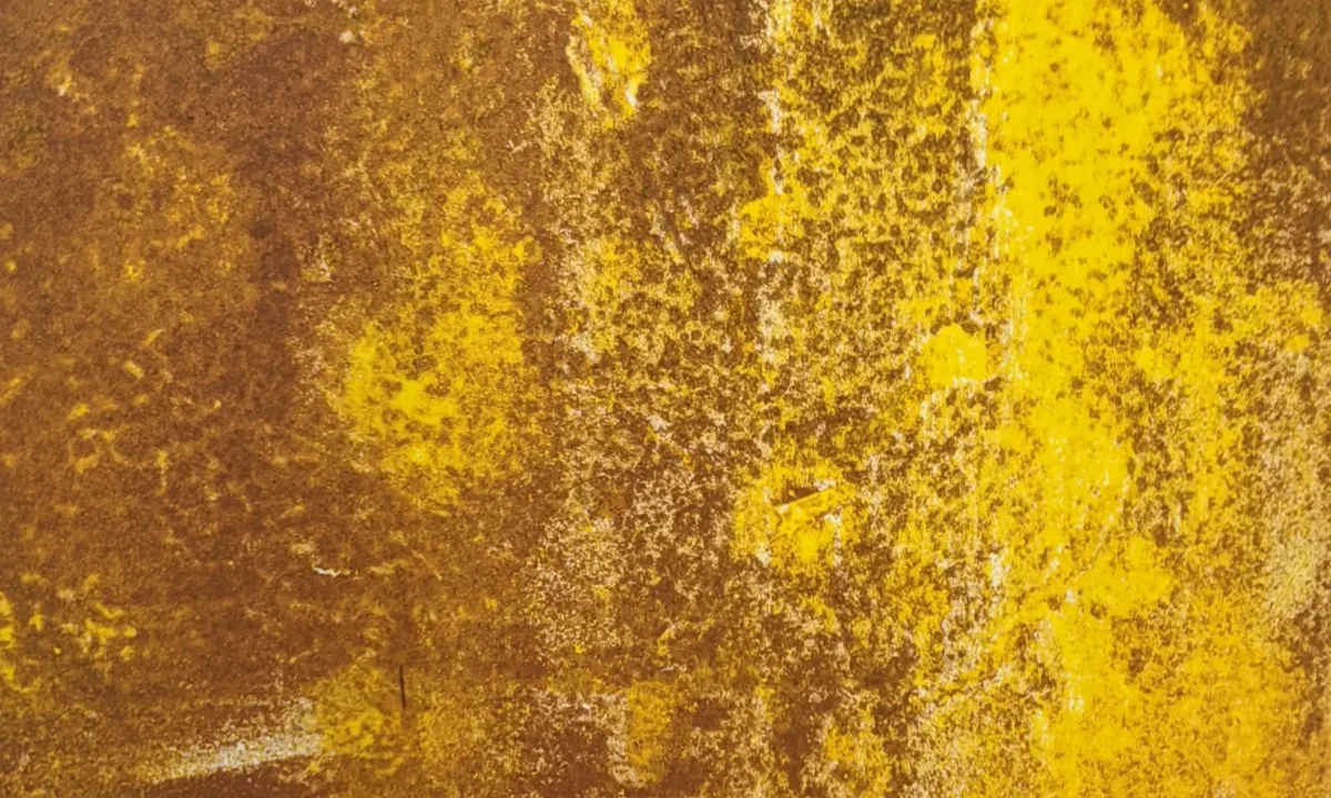 Diana Orinda Burns: Dusk 2.