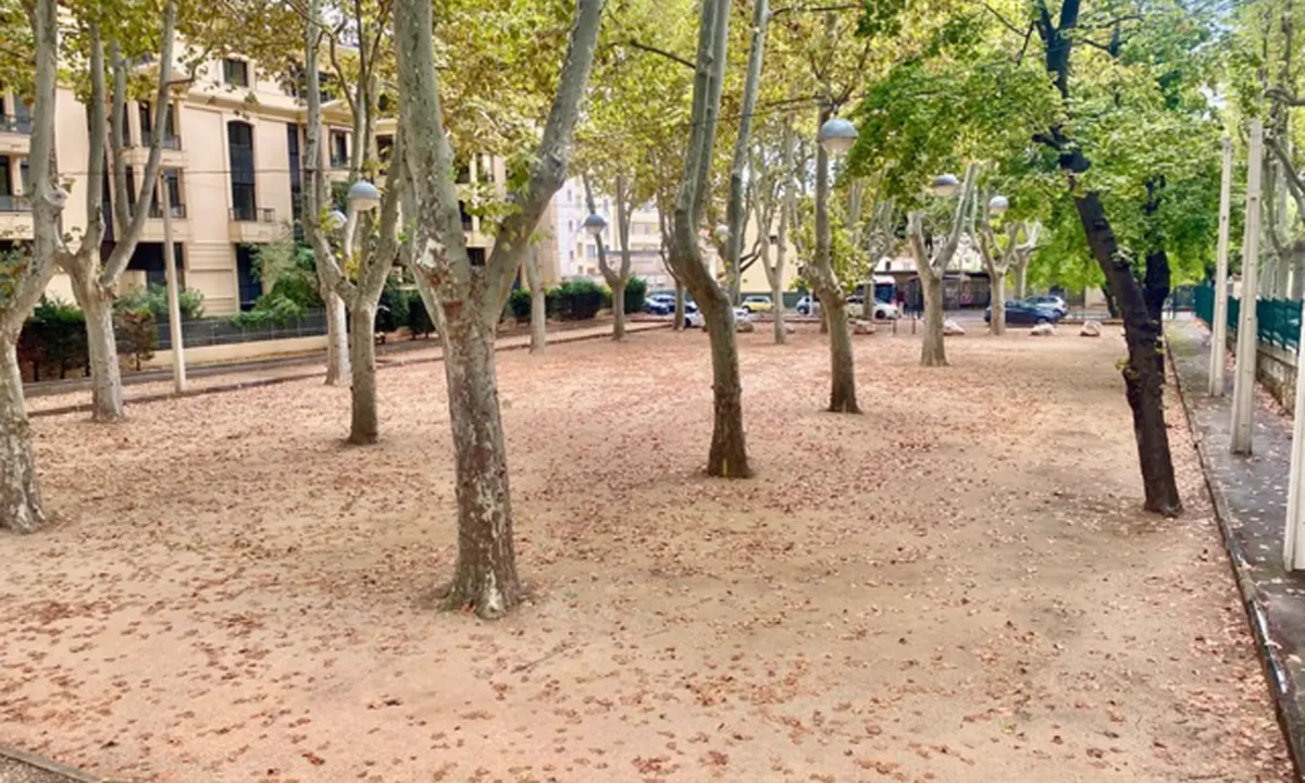 Maldon Petanque Club Inc: 29 October 2025