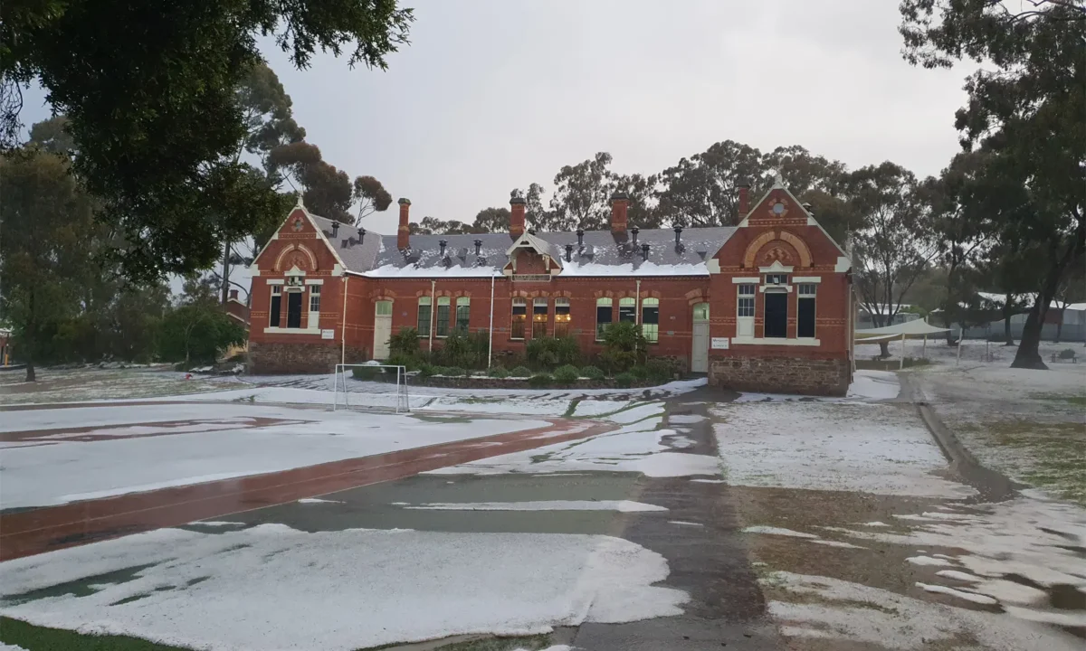 What the hail? Photo by Rohan Sinclair.