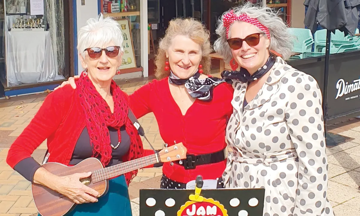 Maldon Vintage Machinery & Museum