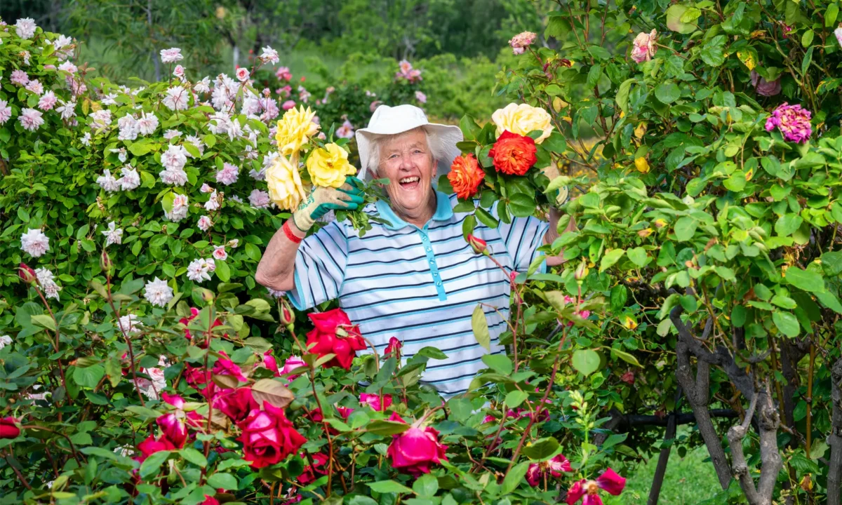 Joy’s happy to share hints about growing a gorgeous rose garden. Photo by Rob Leeson.