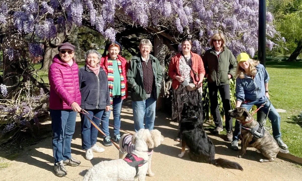 Five years of Rainbow Steps