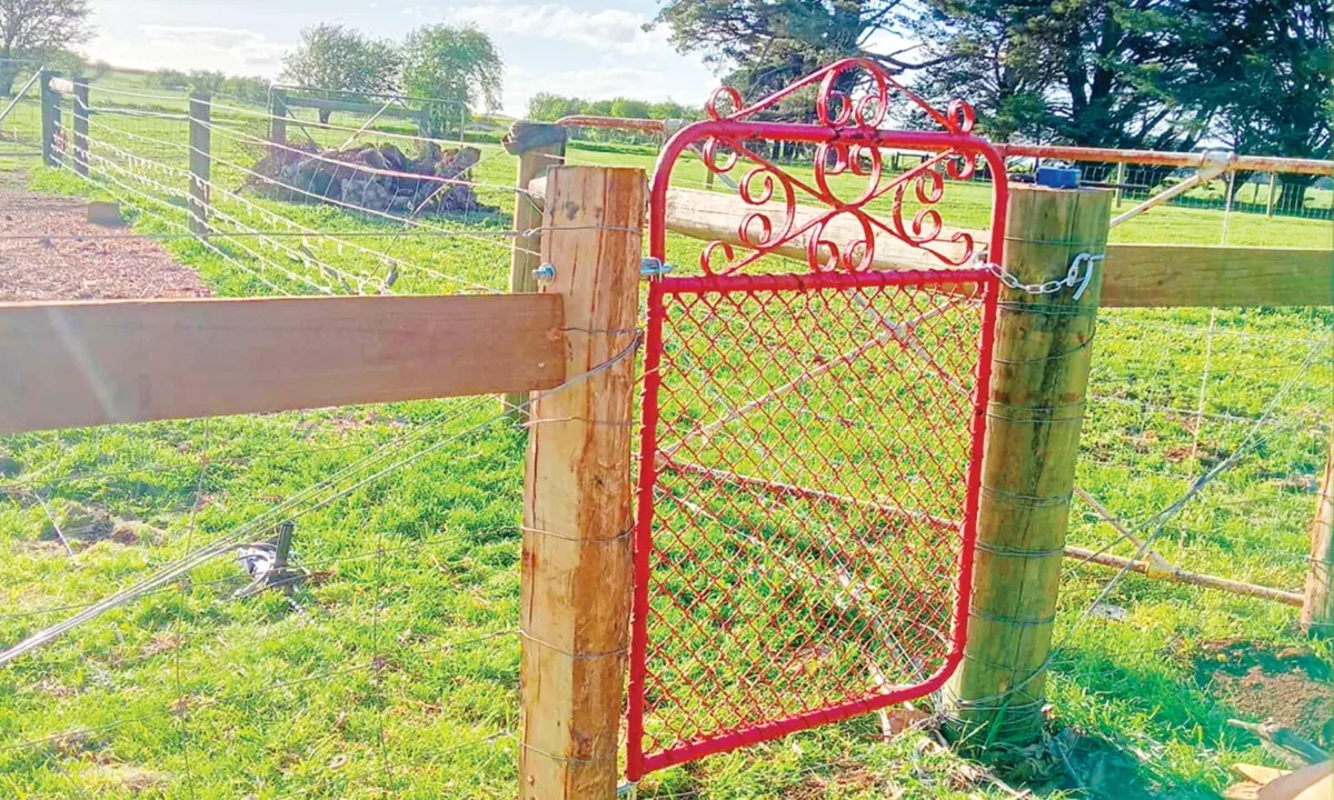 Bob Dabb’s Gate